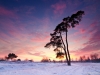 Winterse zonsondergang op het Aekingerzand 