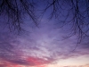 Winterse zonsopkomst Reitdiep