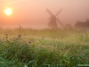 Noordermolen in de mist