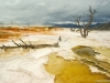 Mammoth Hot Springs - Yellowstone