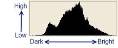 histogram2