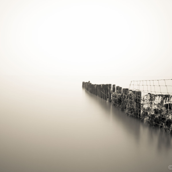 Wad bij Moddergat in de mist