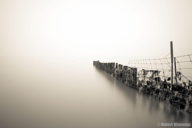 Wad bij Moddergat in de mist