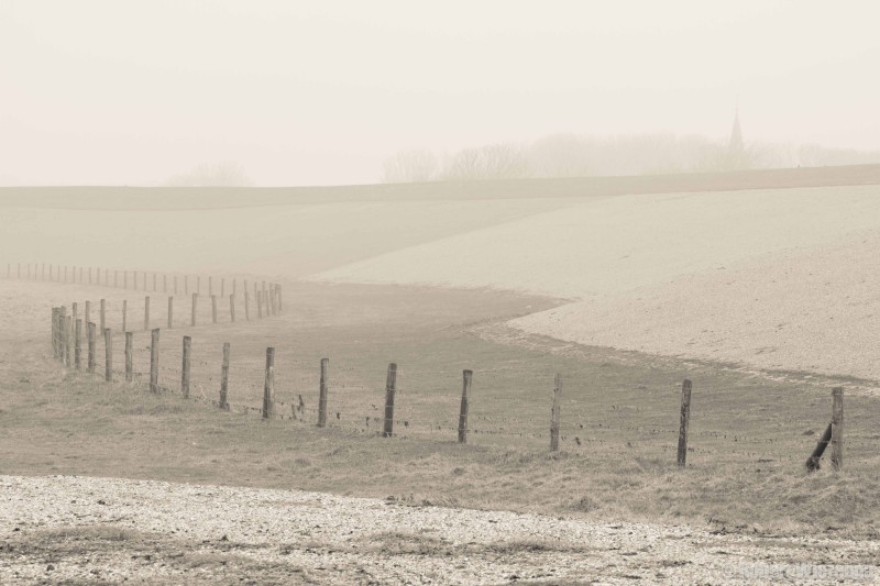 Dijk bij Moddergat