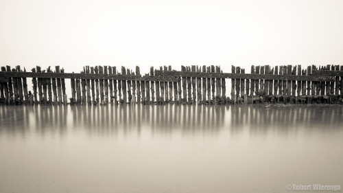 Wad bij Moddergat in de mist