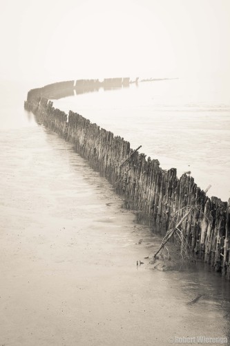 Wad bij Wierum in de mist