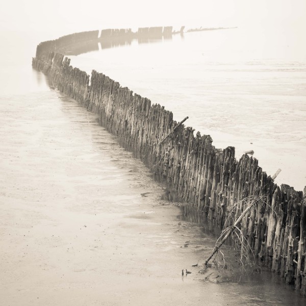 Wad bij Wierum in de mist