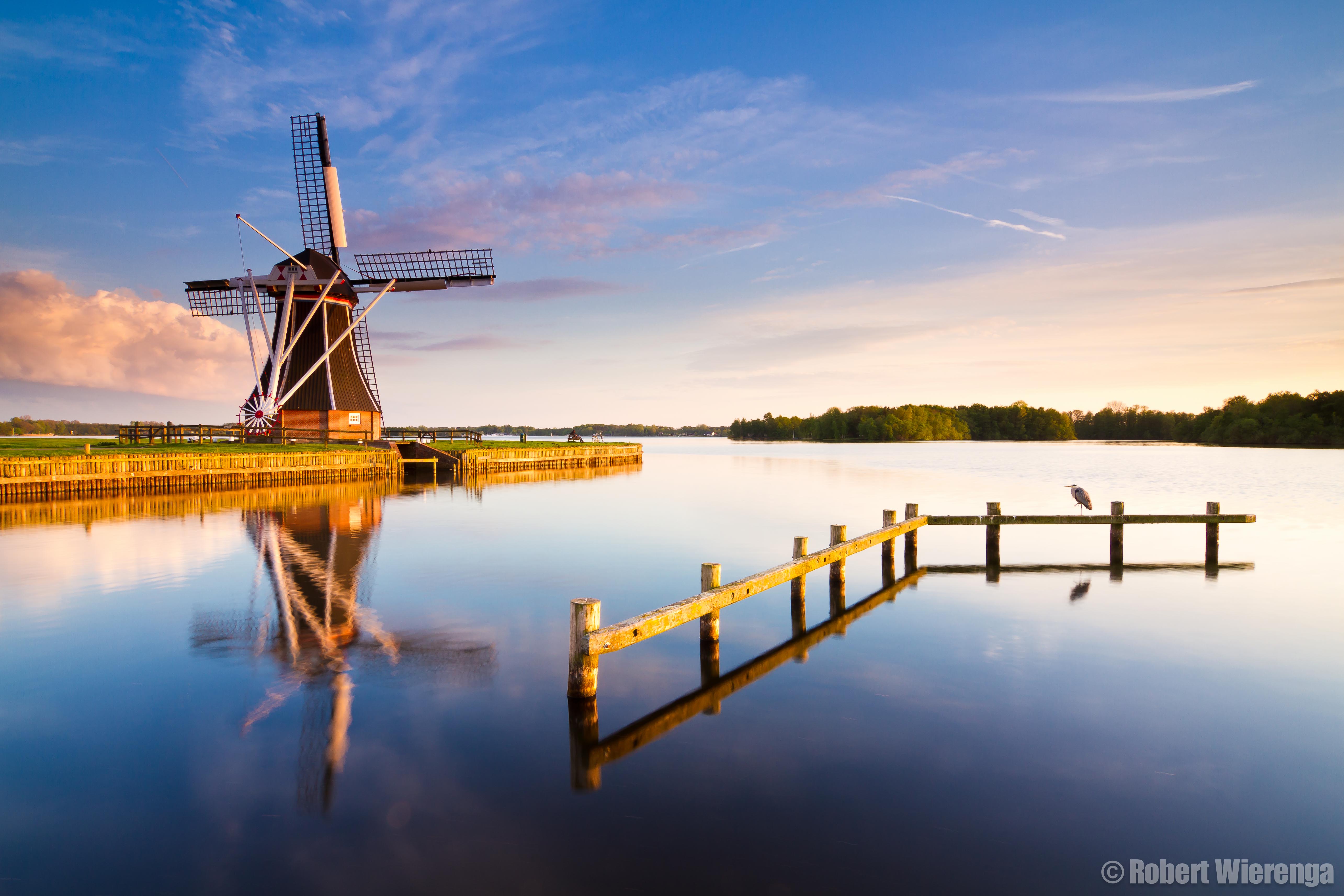 De reiger en de windmolen