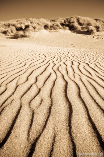 Lijnen in het zand