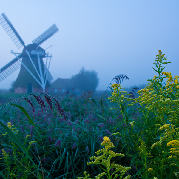 Noordermolen voor zonsopkomst