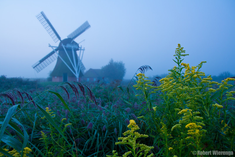 Noordermolen voor zonsopkomst