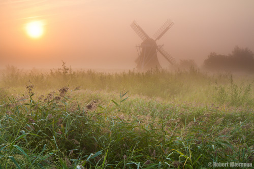 Noordermolen in de mist