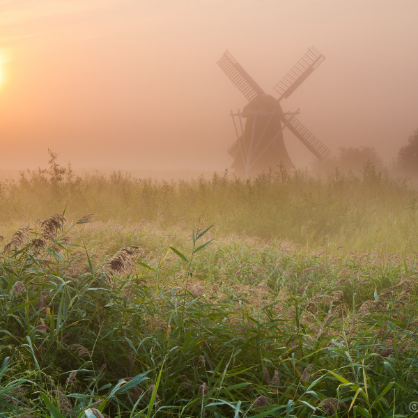 Noordermolen in de mist