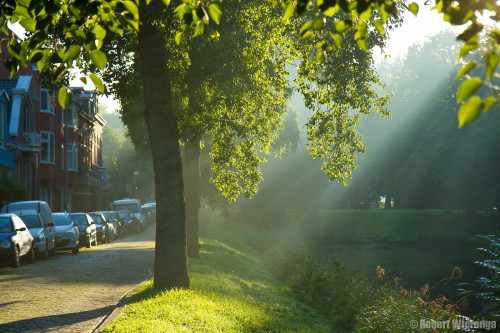 Grachtstraat in ochtendlicht