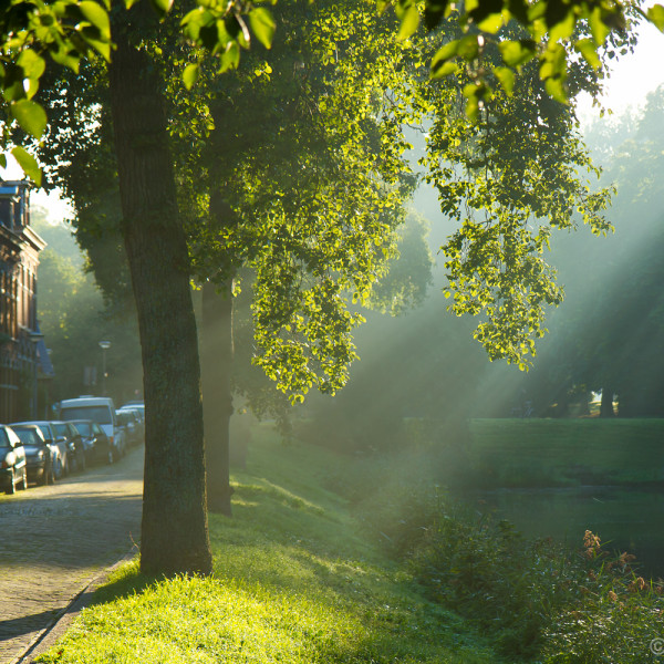 Grachtstraat in ochtendlicht