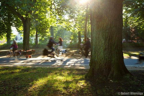 Fietsers in Noorderplantsoen