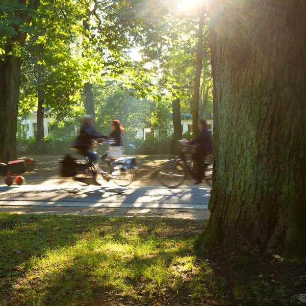 Fietsers in Noorderplantsoen