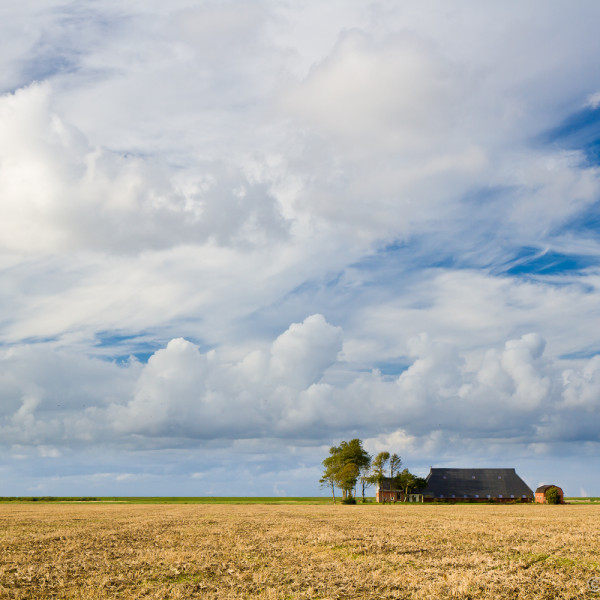 Boerderij bij Usquert